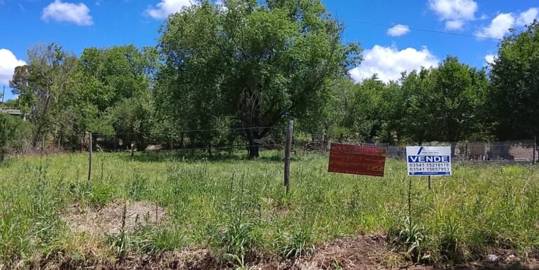 WhatsApp Image 2025-11-09 at 11.41.39 (1)