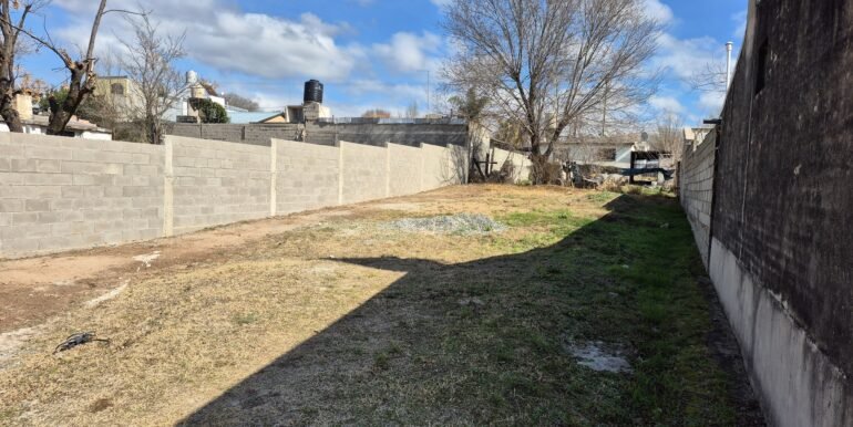 WhatsApp Image 2025-11-14 at 14.11.36