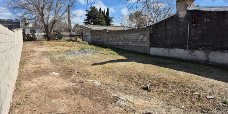 WhatsApp Image 2025-11-14 at 14.11.38 (2)