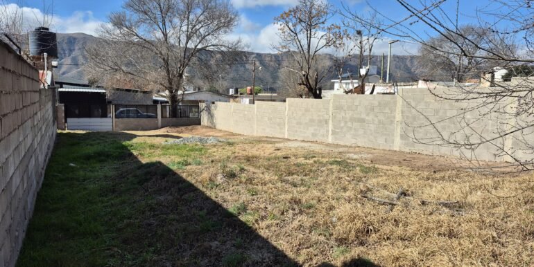 WhatsApp Image 2025-11-14 at 14.11.39 (1)