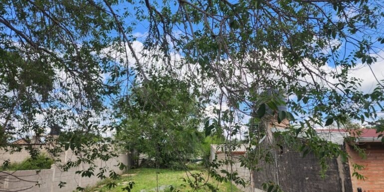 WhatsApp Image 2025-11-15 at 10.07.10