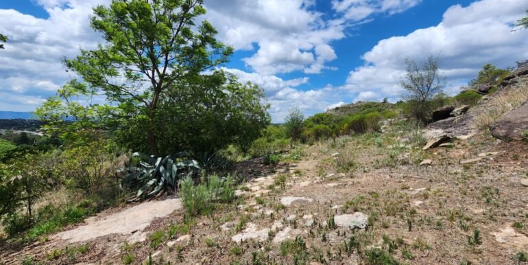 WhatsApp Image 2025-11-15 at 11.26.48