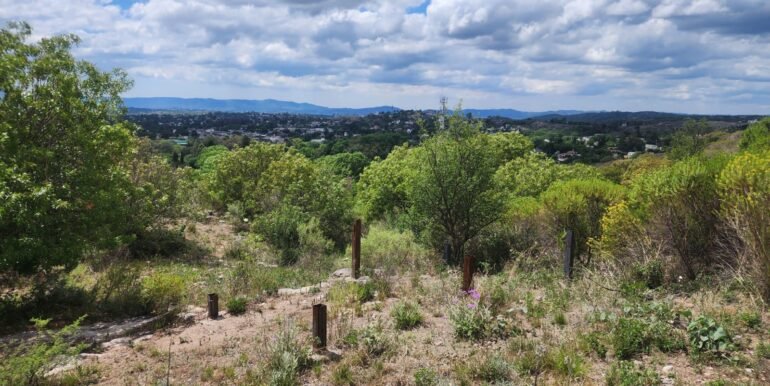 WhatsApp Image 2025-11-15 at 11.26.49