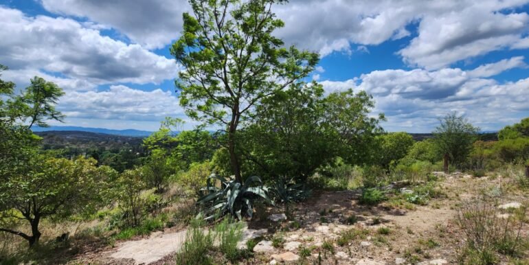 WhatsApp Image 2025-11-15 at 11.27.01 (1)