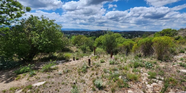 WhatsApp Image 2025-11-15 at 11.27.01 (2)