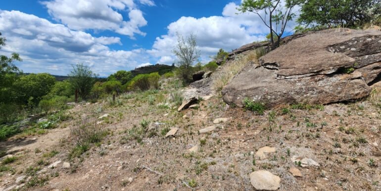 WhatsApp Image 2025-11-15 at 11.27.01