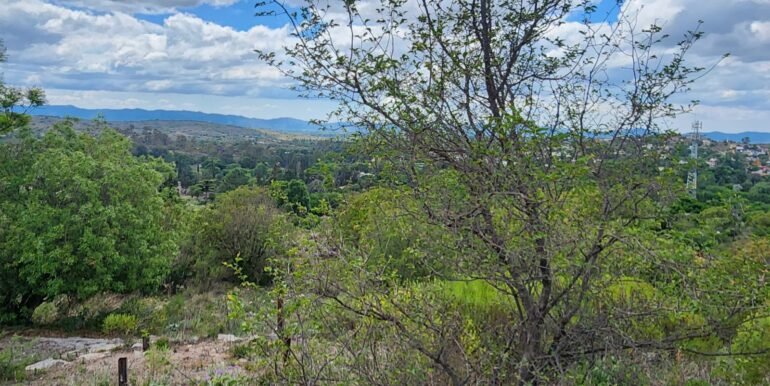 WhatsApp Image 2025-11-15 at 11.27.02 (1)