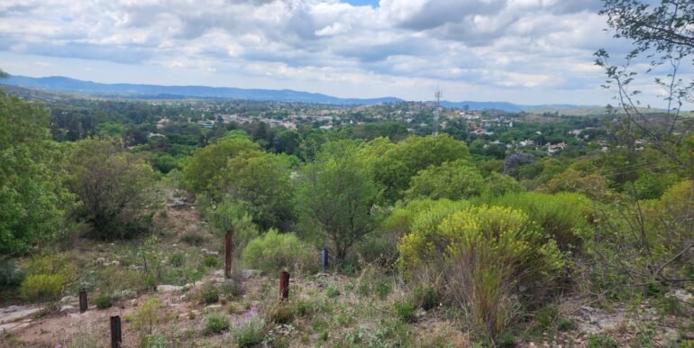 WhatsApp Image 2025-11-15 at 11.27.02 (2)