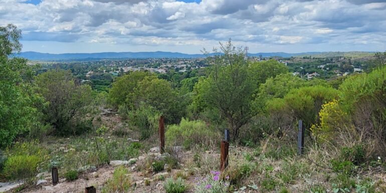 WhatsApp Image 2025-11-15 at 11.27.02