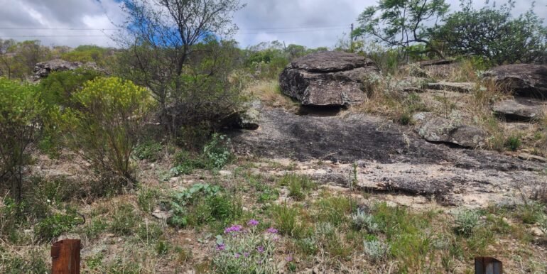 WhatsApp Image 2025-11-15 at 11.27.03 (1)