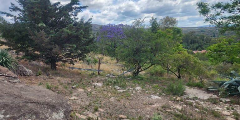 WhatsApp Image 2025-11-15 at 11.27.03 (2)