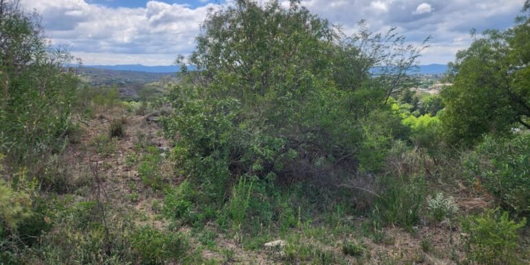 WhatsApp Image 2025-11-15 at 11.27.03