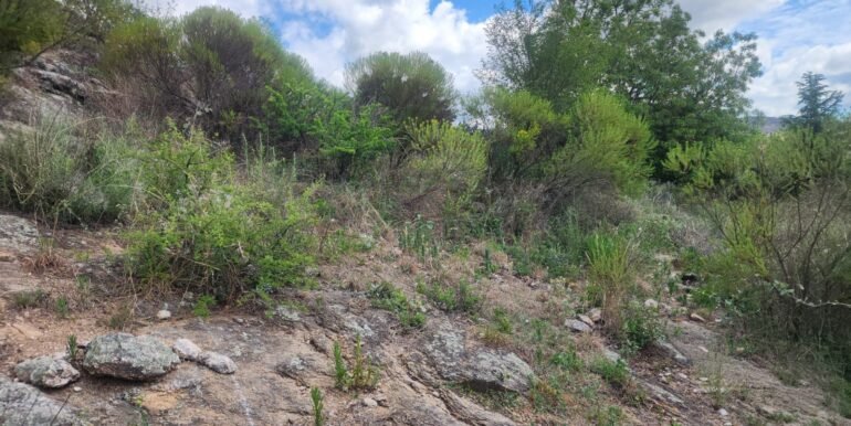 WhatsApp Image 2025-11-15 at 11.27.04 (1)