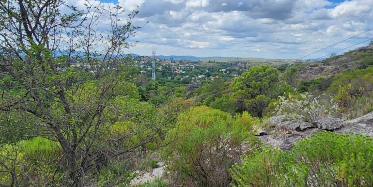 WhatsApp Image 2025-11-15 at 11.27.04 (2)