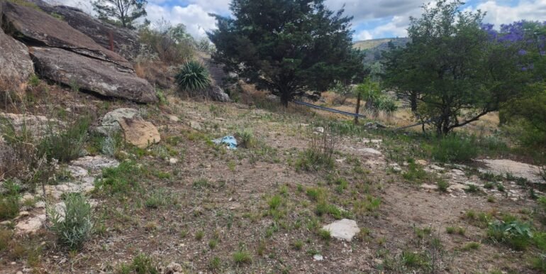 WhatsApp Image 2025-11-15 at 11.27.04