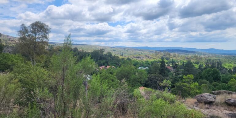 WhatsApp Image 2025-11-15 at 11.27.05 (1)