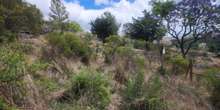 WhatsApp Image 2025-11-15 at 11.27.05