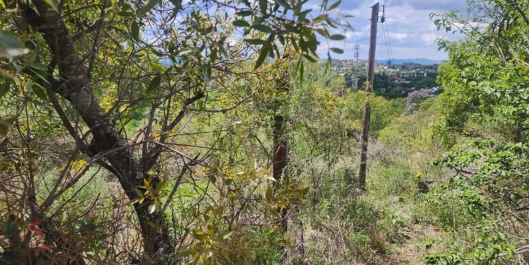 WhatsApp Image 2025-11-15 at 11.27.06 (1)