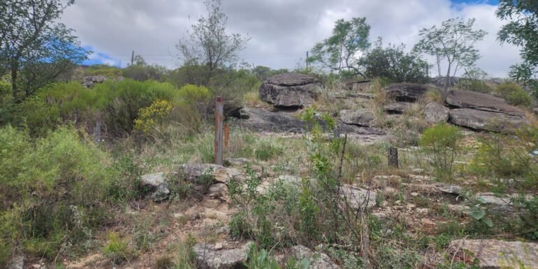 WhatsApp Image 2025-11-15 at 11.27.06 (3)