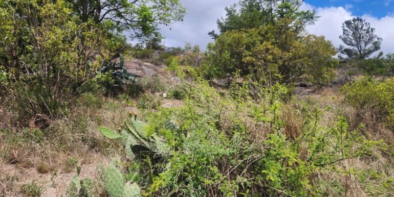 WhatsApp Image 2025-11-15 at 11.27.07