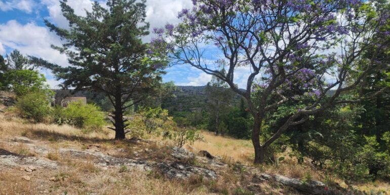 WhatsApp Image 2025-11-15 at 11.46.35