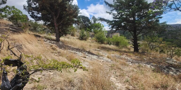 WhatsApp Image 2025-11-15 at 11.46.36