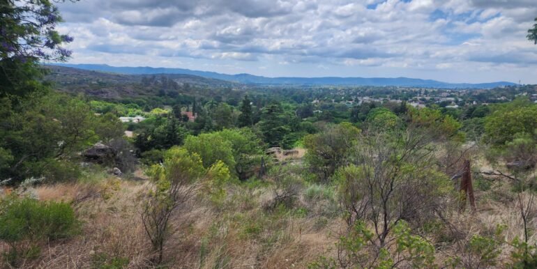 WhatsApp Image 2025-11-15 at 11.46.37 (1)