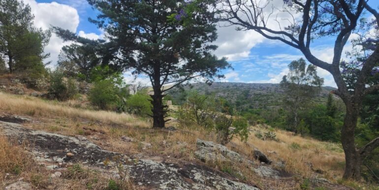 WhatsApp Image 2025-11-15 at 11.46.37