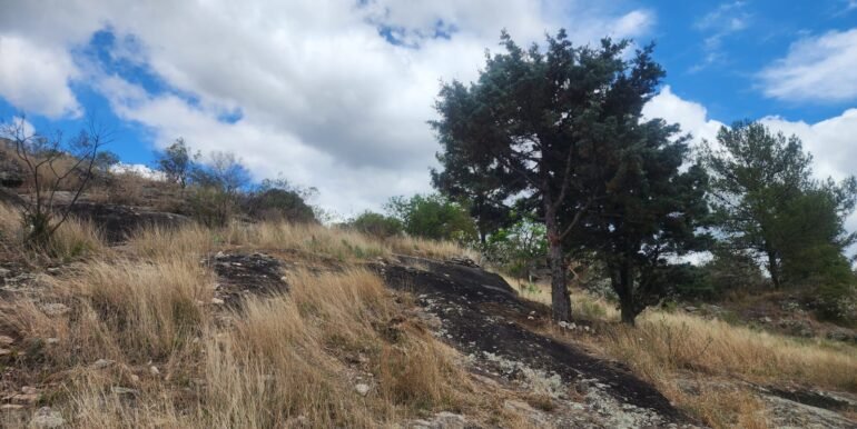 WhatsApp Image 2025-11-15 at 11.46.38 (1)