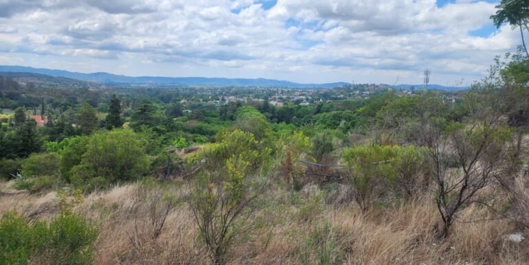 WhatsApp Image 2025-11-15 at 11.46.38