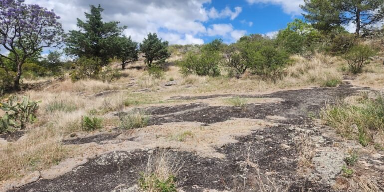 WhatsApp Image 2025-11-15 at 11.46.39