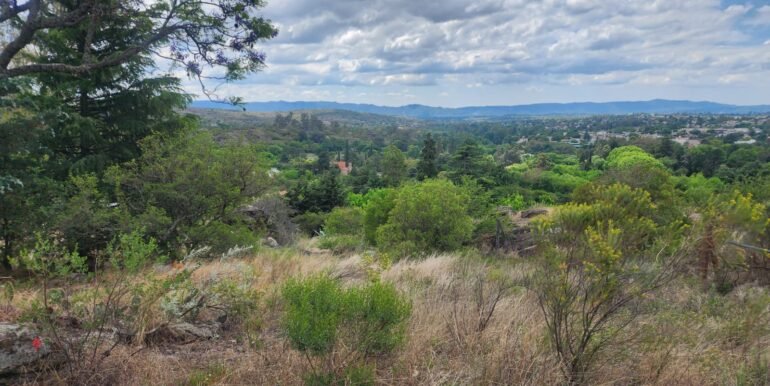 WhatsApp Image 2025-11-15 at 11.46.40 (2)