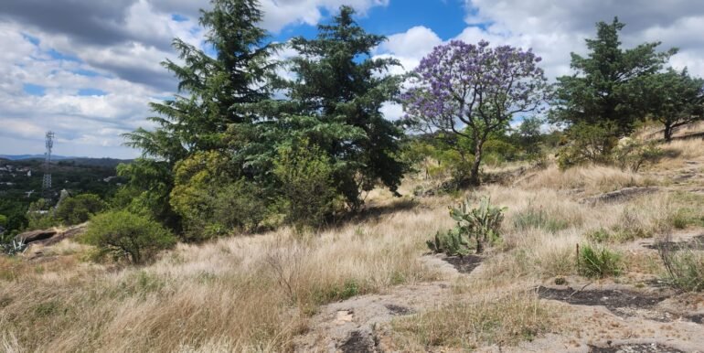 WhatsApp Image 2025-11-15 at 11.46.40