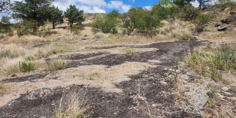 WhatsApp Image 2025-11-15 at 11.46.41 (1)