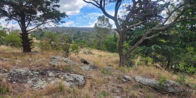 WhatsApp Image 2025-11-15 at 11.46.41