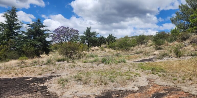 WhatsApp Image 2025-11-15 at 11.46.42 (1)