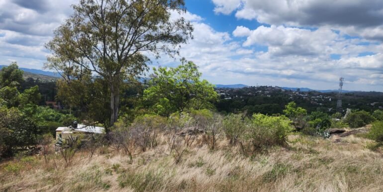 WhatsApp Image 2025-11-15 at 11.46.42 (2)