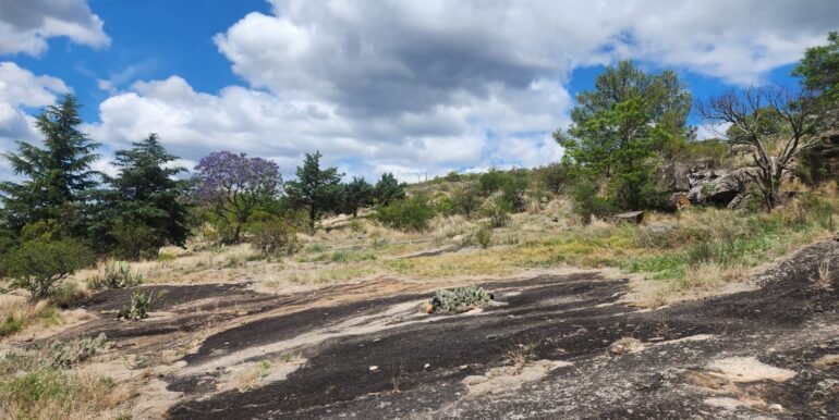 WhatsApp Image 2025-11-15 at 11.46.42