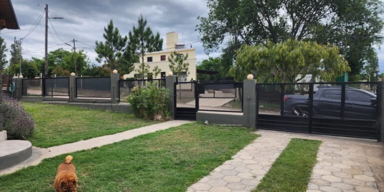 WhatsApp Image 2025-11-19 at 17.20.58 (1)