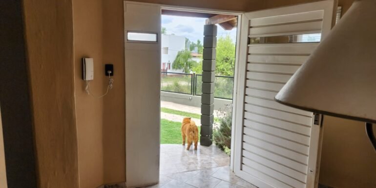 WhatsApp Image 2025-11-19 at 17.21.00 (1)