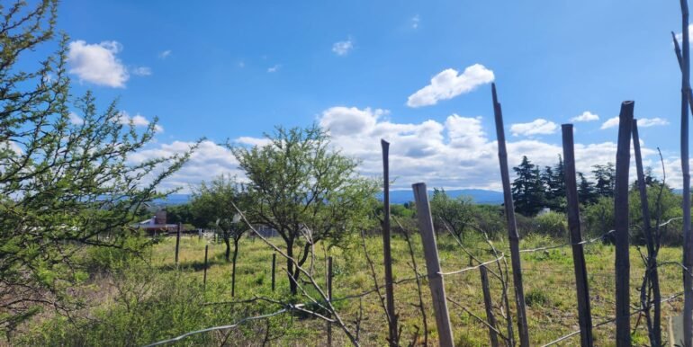 WhatsApp Image 2025-11-20 at 11.11.41 (1)