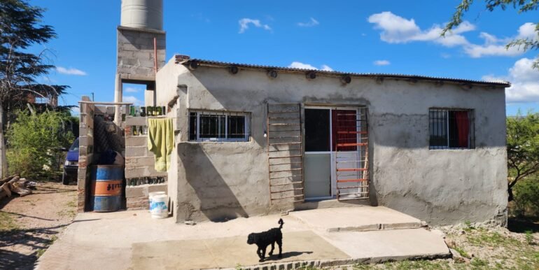 WhatsApp Image 2025-11-20 at 11.11.41 (2)