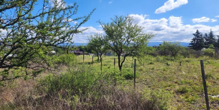 WhatsApp Image 2025-11-20 at 11.11.41