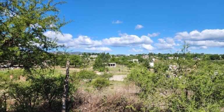 WhatsApp Image 2025-11-20 at 11.11.42 (1)