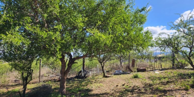 WhatsApp Image 2025-11-20 at 11.11.42 (3)