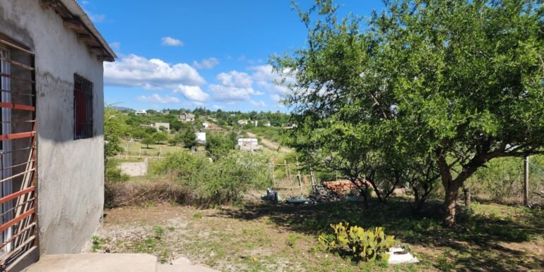 WhatsApp Image 2025-11-20 at 11.11.42