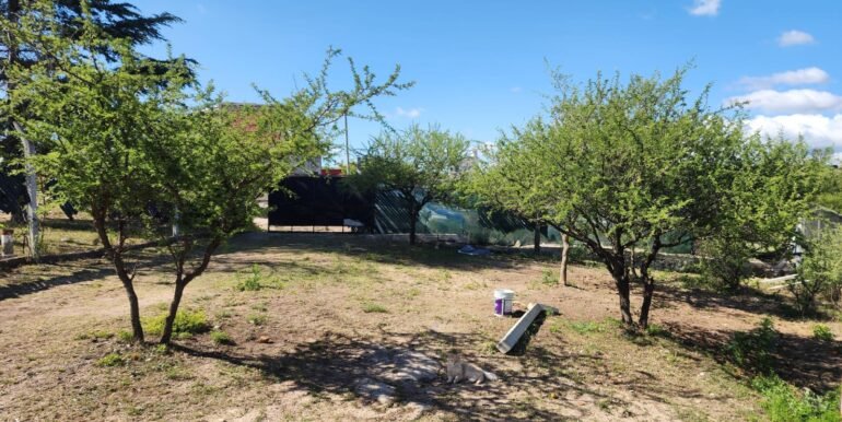 WhatsApp Image 2025-11-20 at 11.11.44 (3)