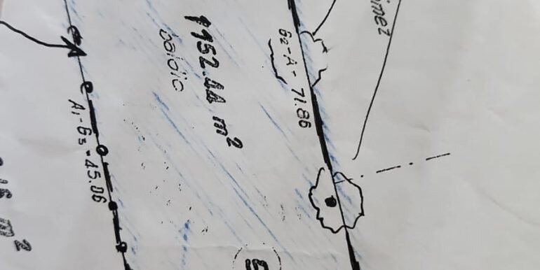 WhatsApp Image 2025-11-21 at 11.11.13