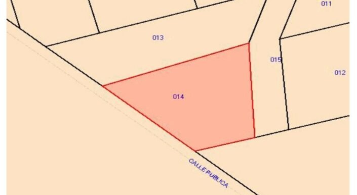 WhatsApp Image 2025-11-22 at 10.53.47