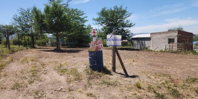 WhatsApp Image 2025-11-22 at 13.01.28